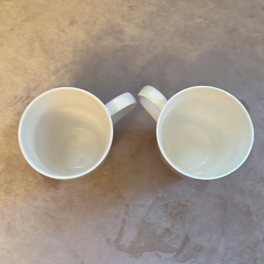 Pfaltzgraff Set of 2  Boho Travel *ADVENTURE* Coffee Cups Mugs EUC